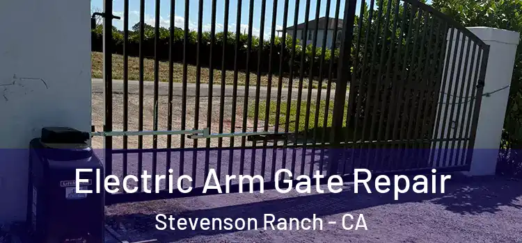 Electric Arm Gate Repair Stevenson Ranch - CA