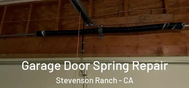  Garage Door Spring Repair Stevenson Ranch - CA